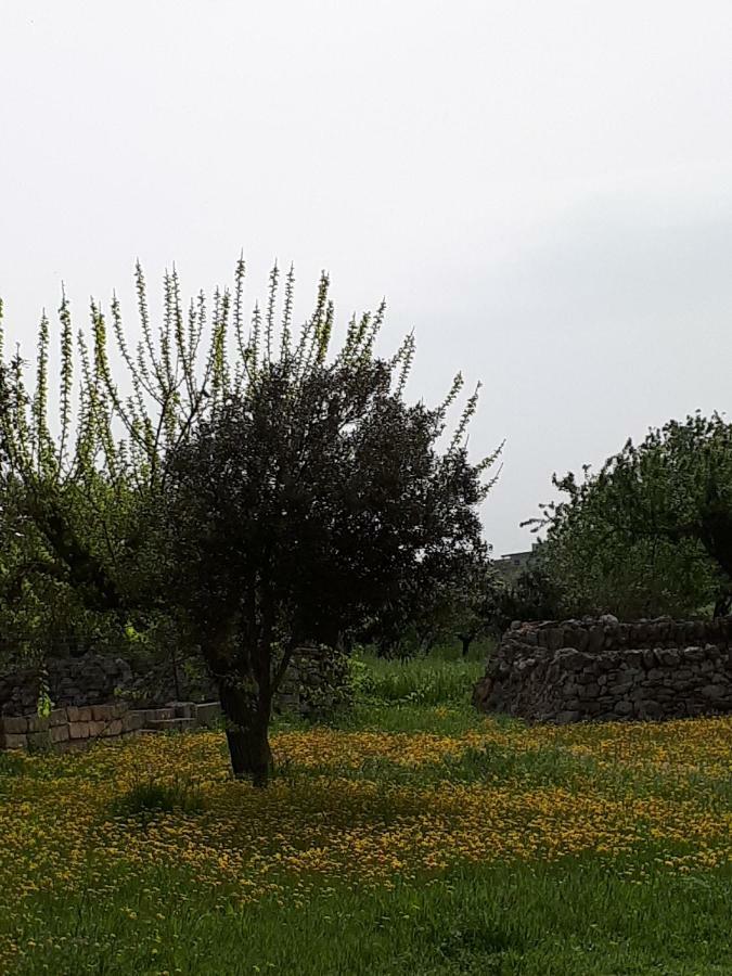 Masseria Cassiere Mottola Bagian luar foto