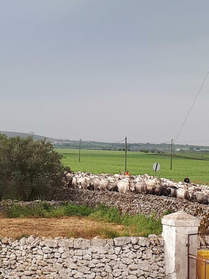 Masseria Cassiere Mottola Bagian luar foto